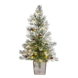 2’ Frosted Pre-Lit Artificial Christmas Tree with Pinecones in Decorative Planter