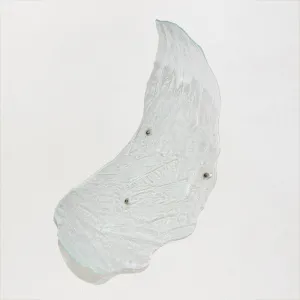 Art Of Living Angelâ€™S Wing Relief Feathers