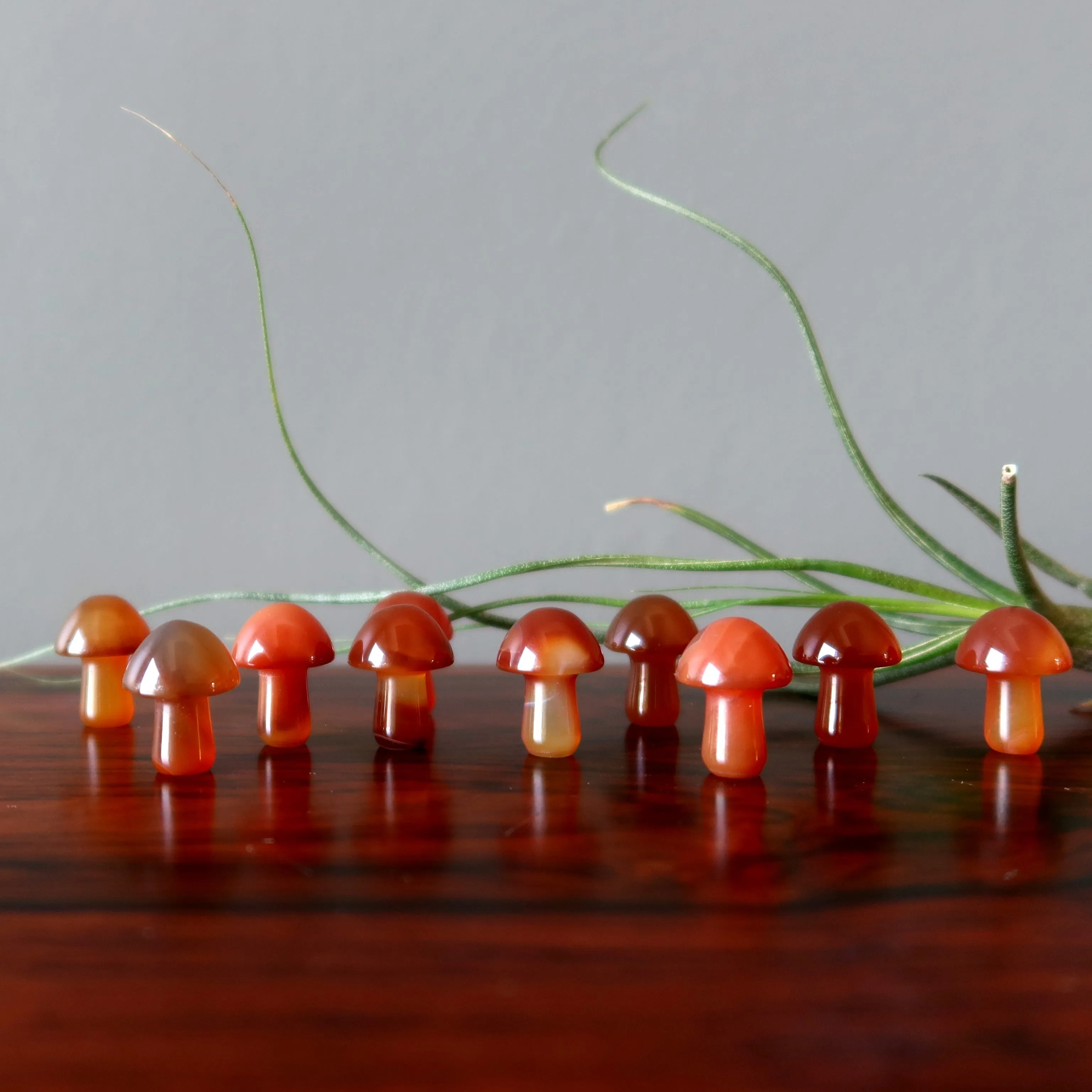 Carnelian Mushroom Forage Happy Red Orange Crystal