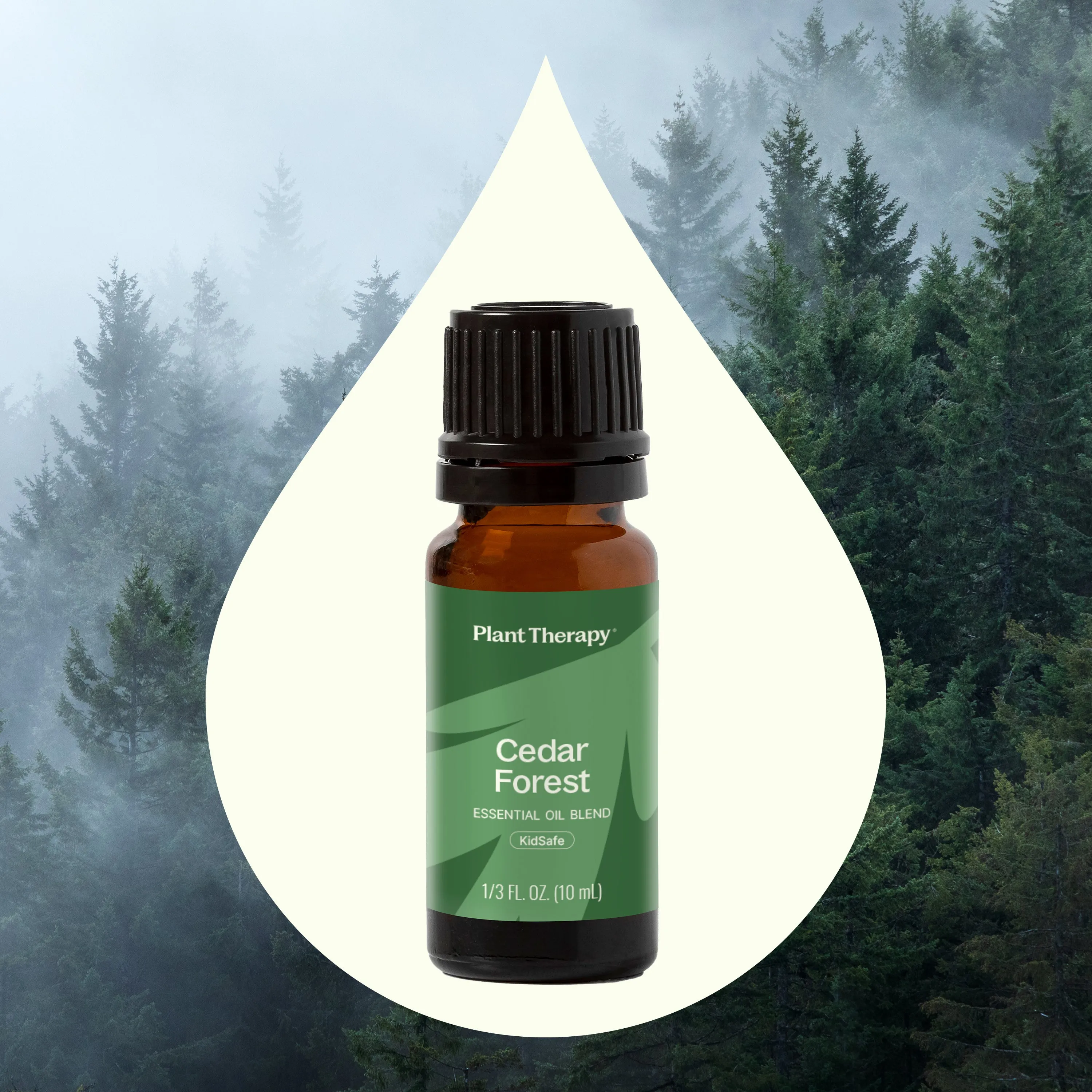 Cedar Forest Essential Oil Blend