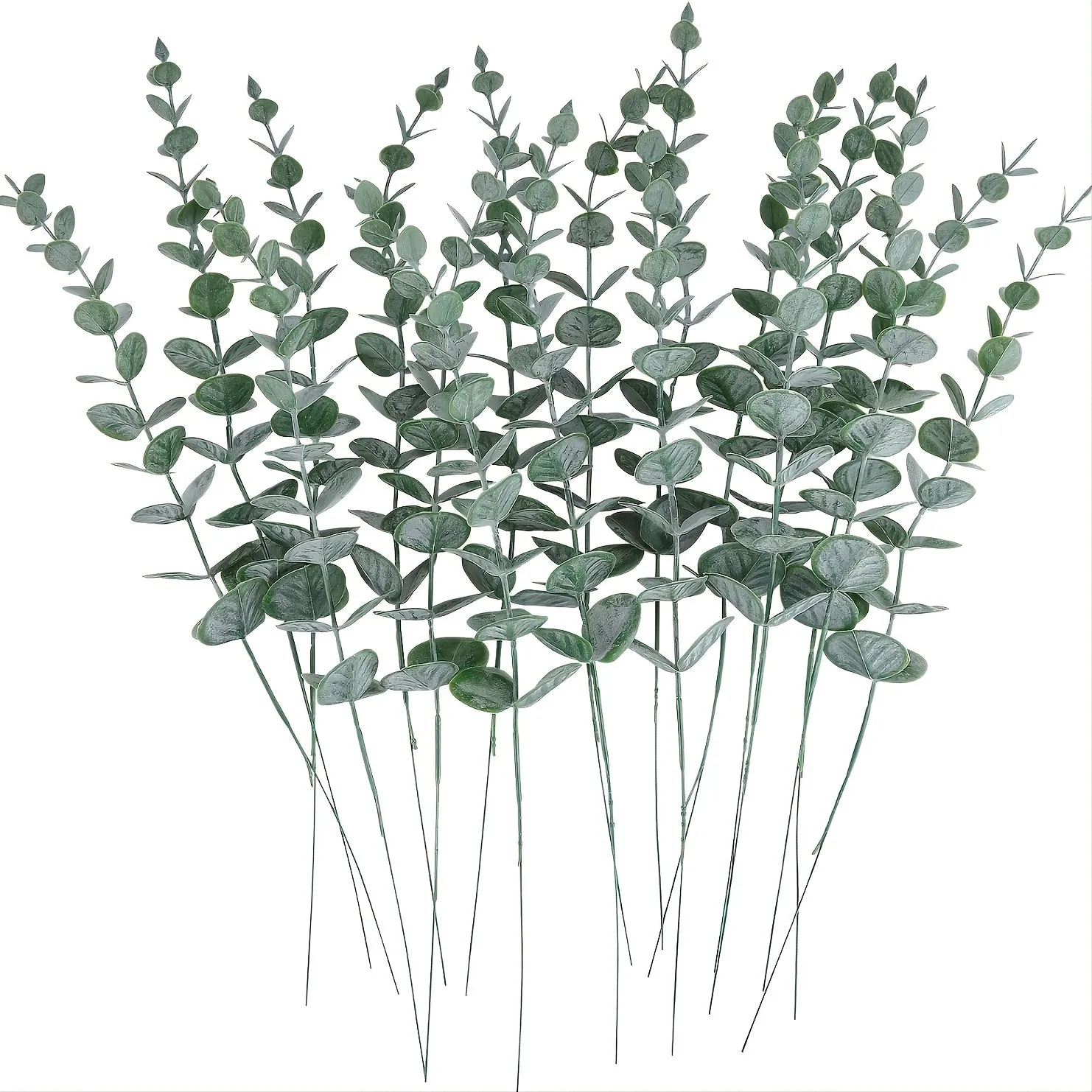 Eucalyptus Stems Decor Bundle for Wedding Centerpieces and Home Decor