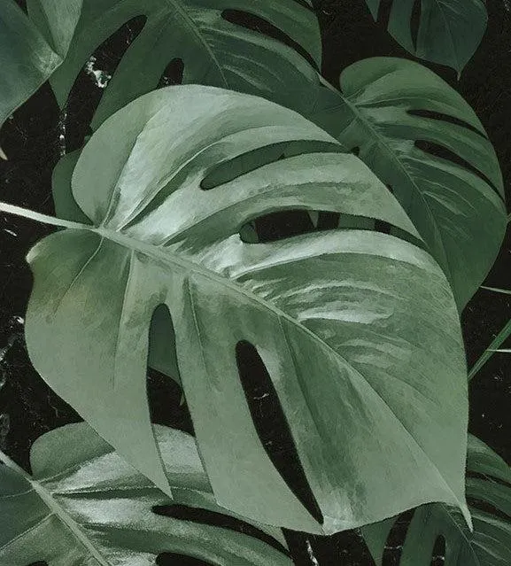 Garden of Monstera Mural Wallpaper