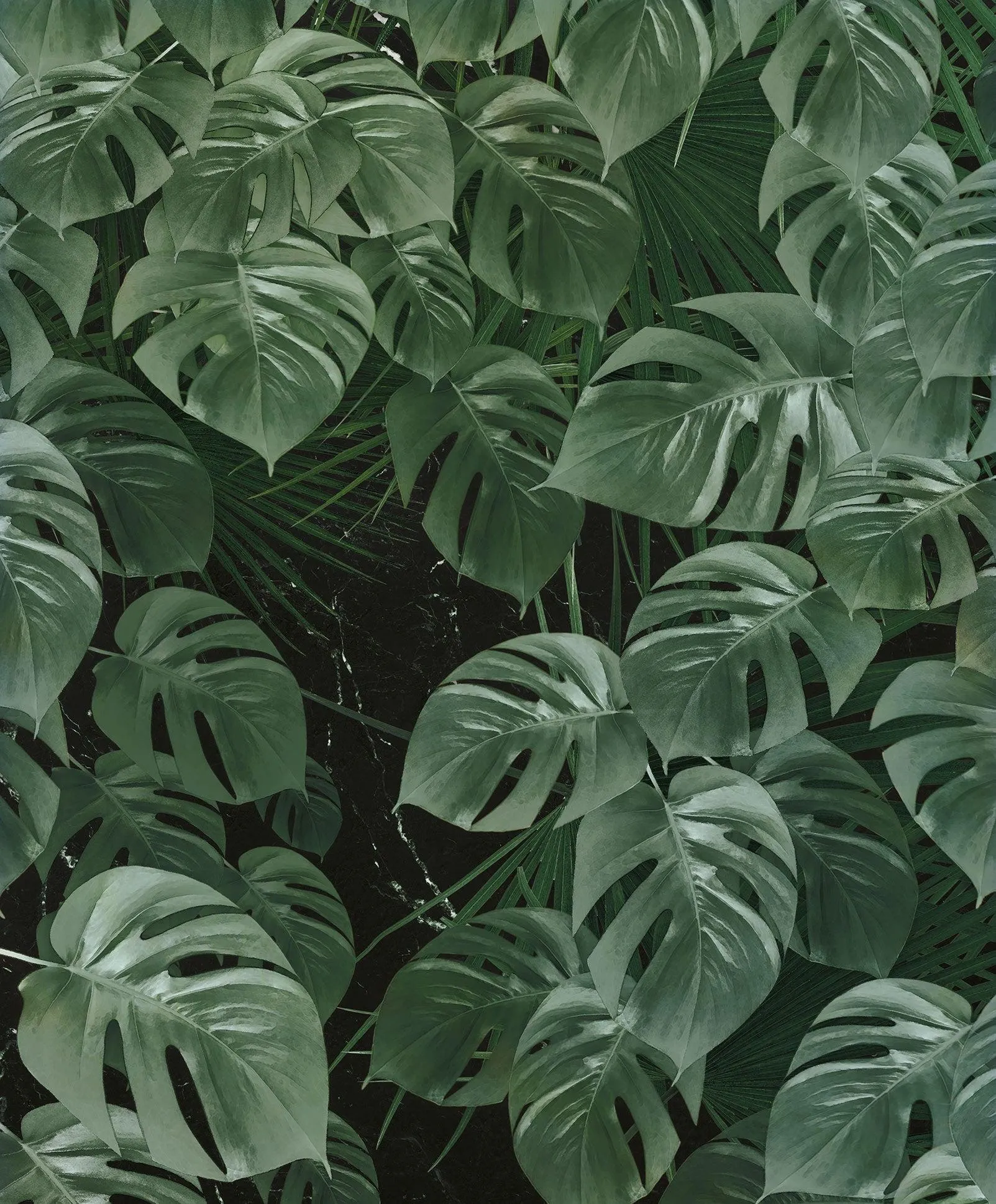 Garden of Monstera Mural Wallpaper