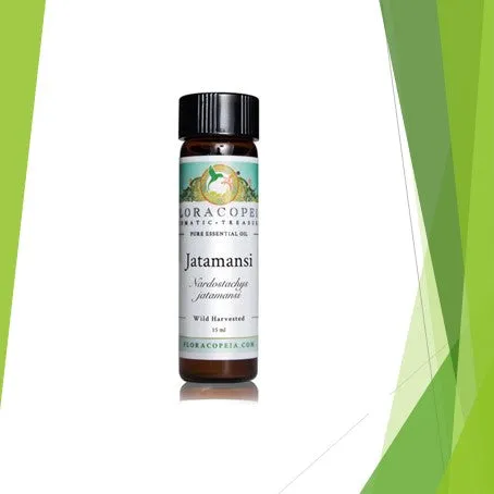 Jatamansi (Spikenard) Organic Wild Harvested Essential Oil 15 ml.