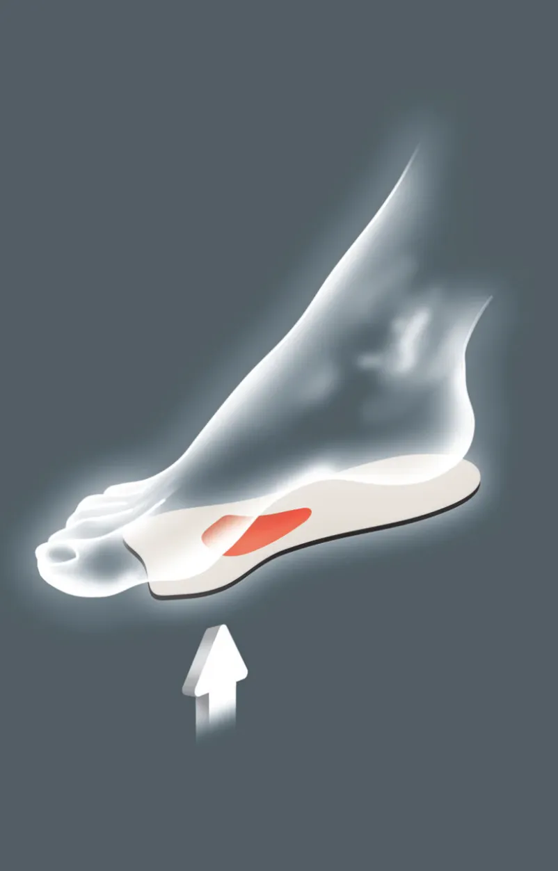 Pedag Metatarsal Pad