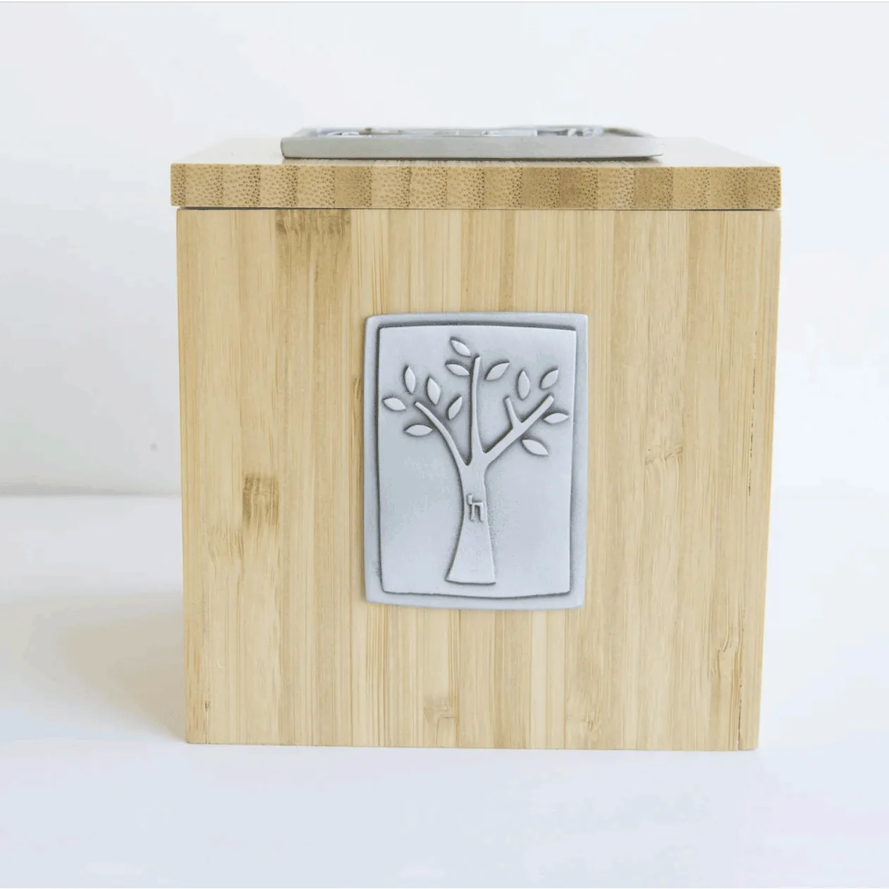 Pomegranate Tzedakah Box by Emily Rosenfeld Judaica